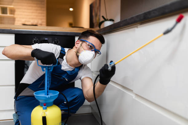 Best Local Pest Control Services  in Central High, OK