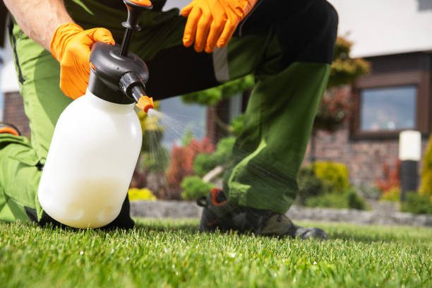 Best Ant Control Services  in Central High, OK