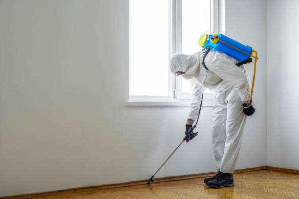 Best Pest Prevention Services  in Central High, OK