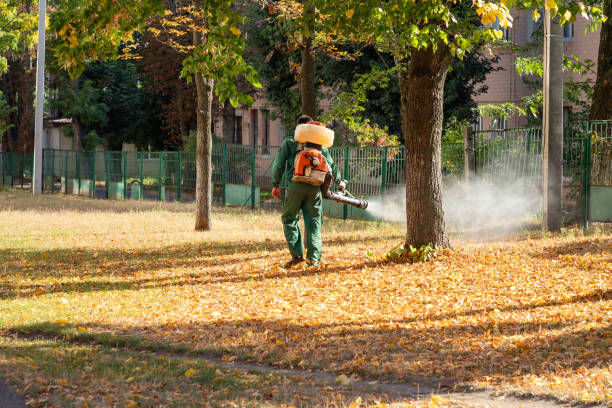 Best Flea Control Services  in Central High, OK