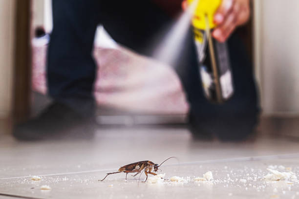 Best Commercial Pest Control Services  in Central High, OK