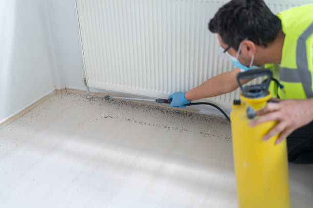 Best Affordable Pest Control Services  in Central High, OK
